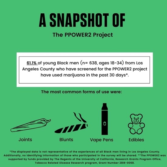 PPOWER2 infographic 4