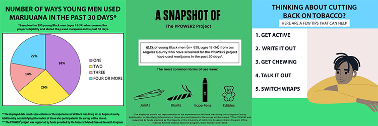 PPOWER2 infographic