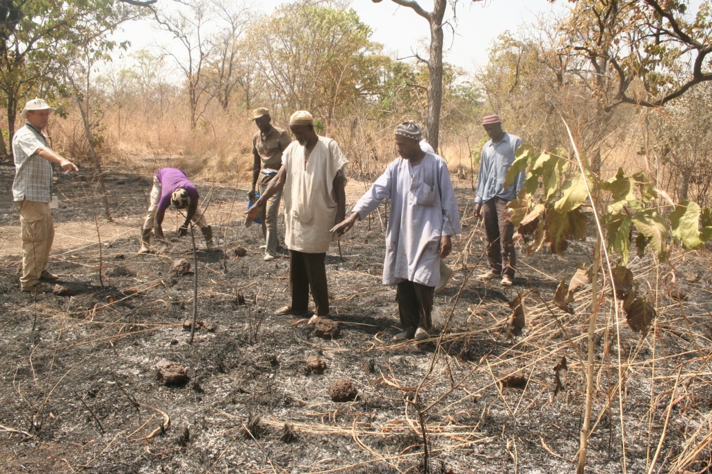 alt="a group examines the aftermath of a controlled burn"