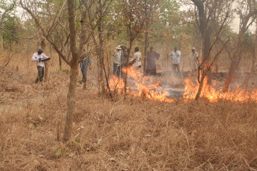 alt="a controlled fire burns in a savannah in Africa"
