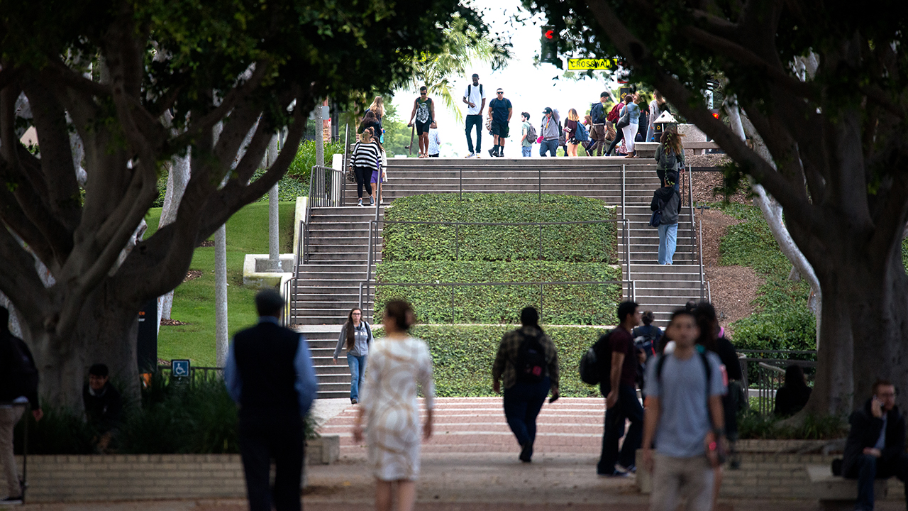 Photo of the stairs leading from Friendship Walk on campus.